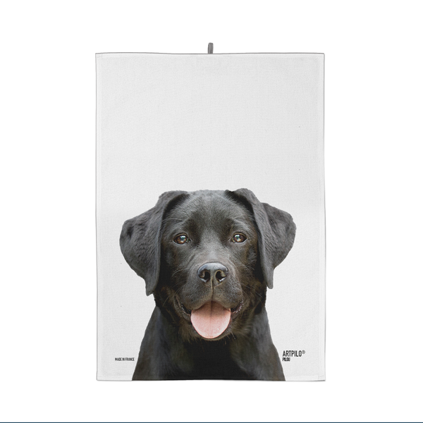 Torchon Pilou the Labrador