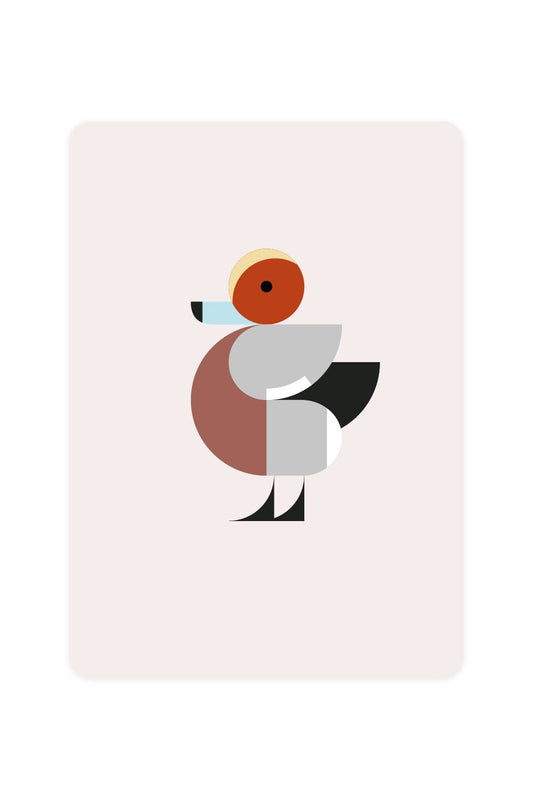 Postcard with Wigeon
