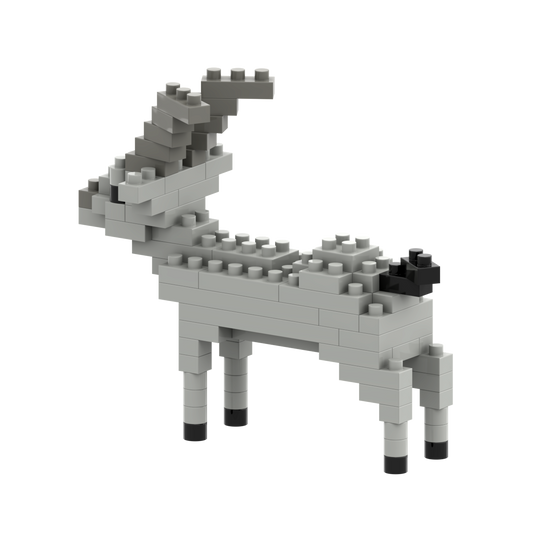 BRIXIES Capricorn