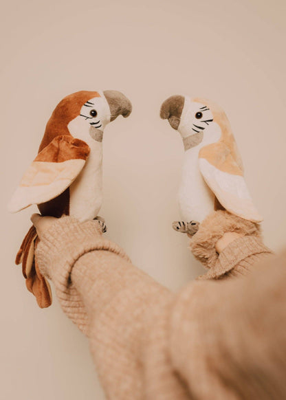 Pierre - the Talking Parrot - Bare