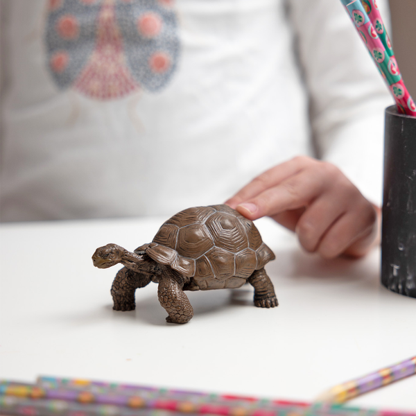 Figurine Tortue des Galápagos Papo - animal sauvage