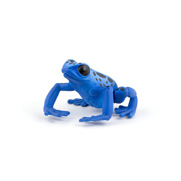 Figurine Grenouille équatoriale bleue Papo - animal sauvage