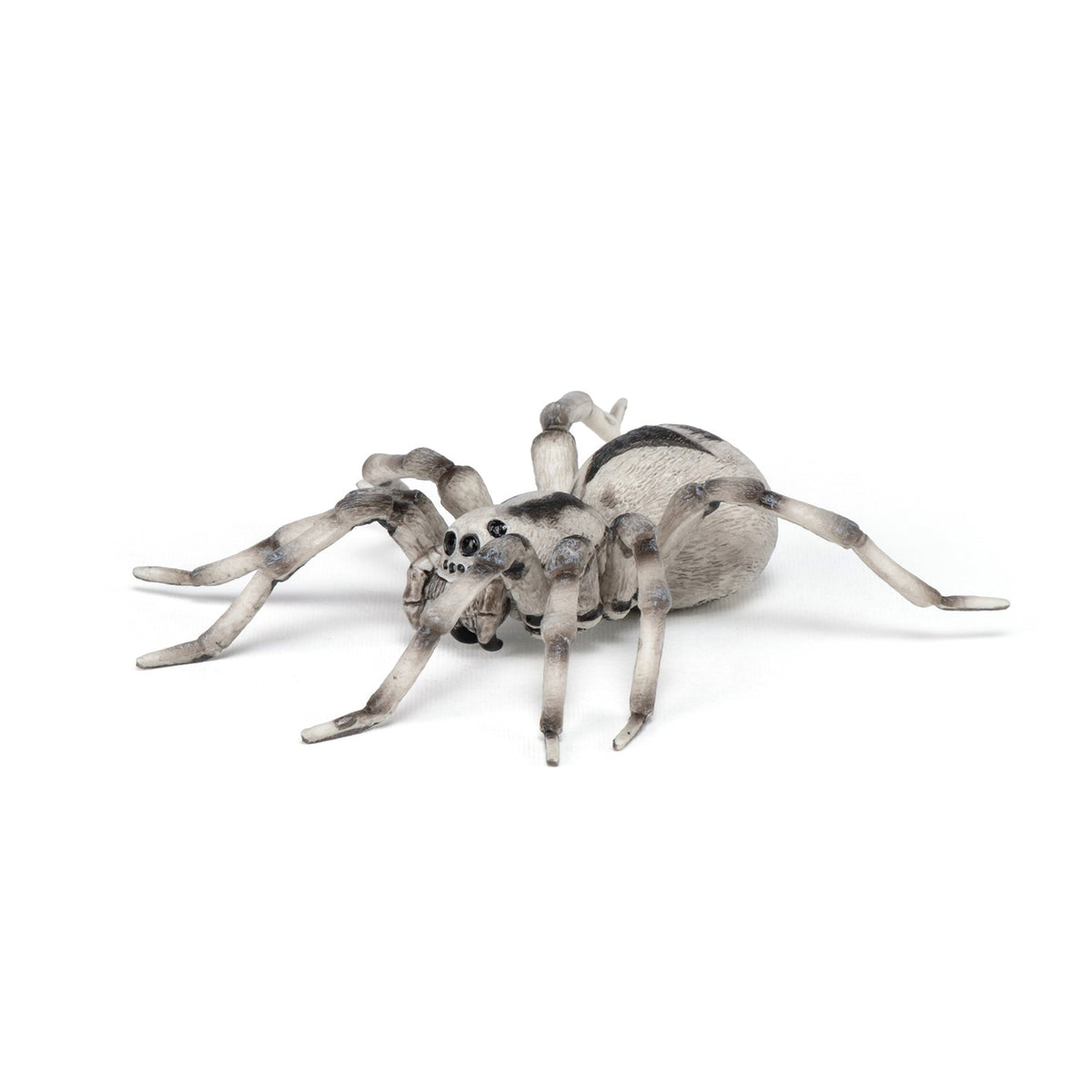 Figurine Tarentule