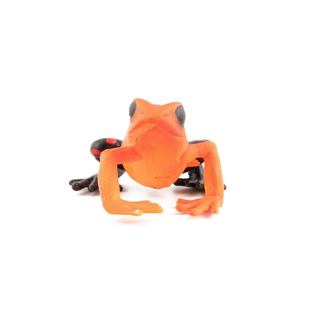 Figurine Grenouille équatoriale rouge