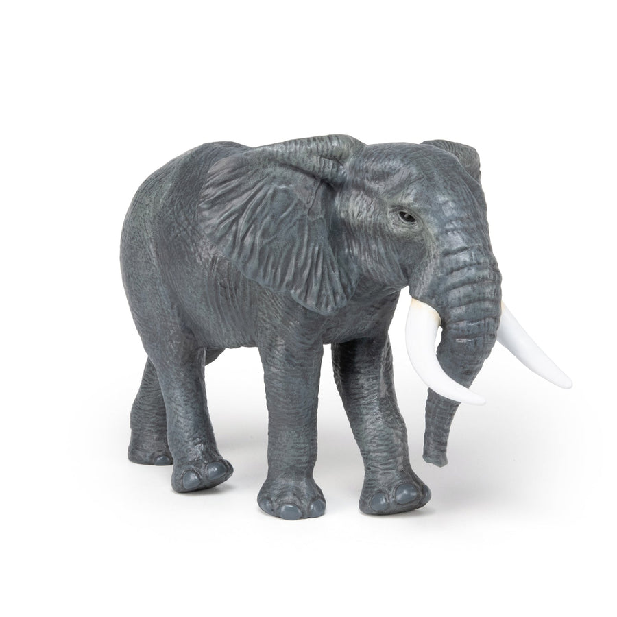 Afrikanischer Elefant