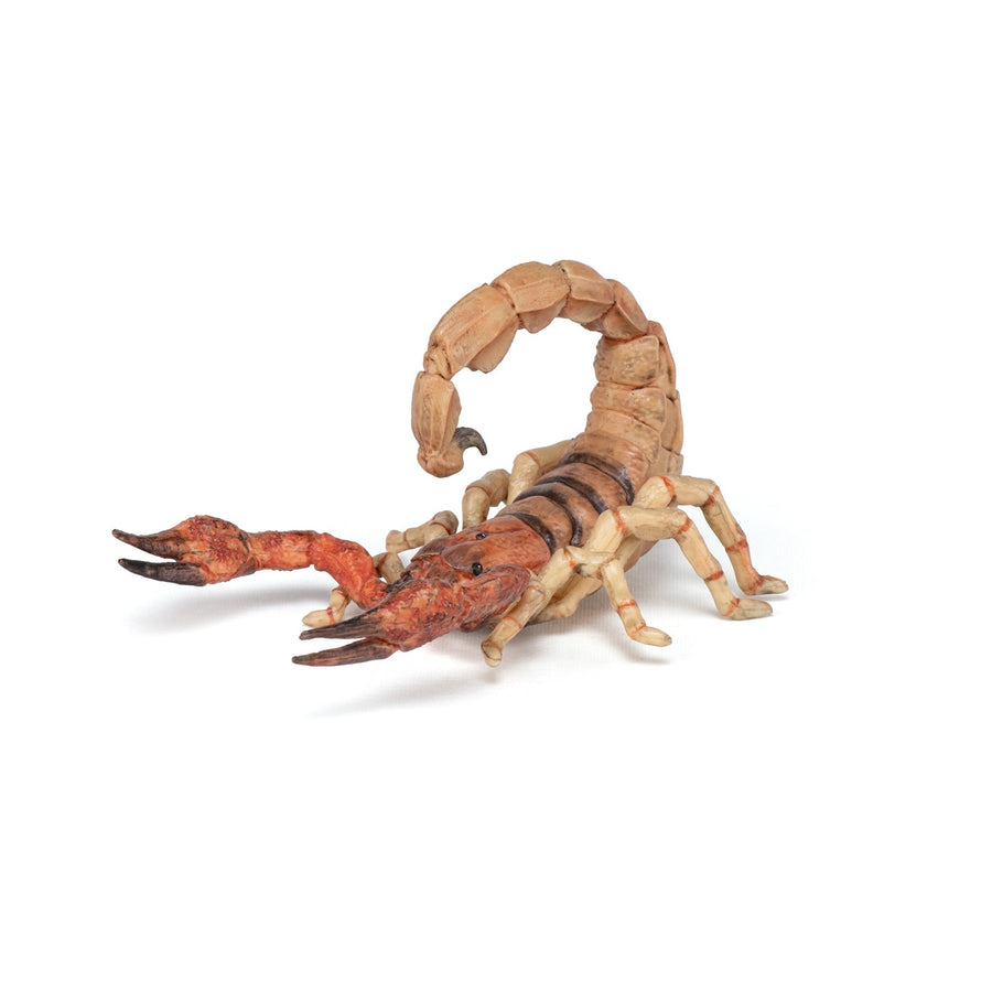 Scorpione