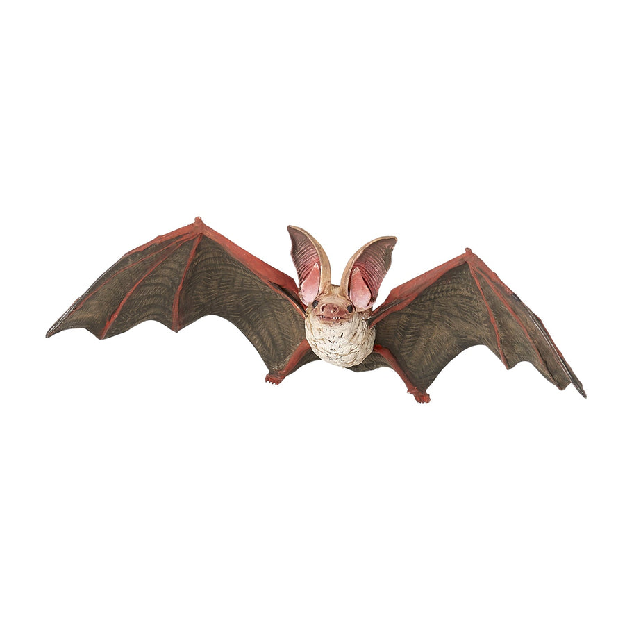 Chauve-souris