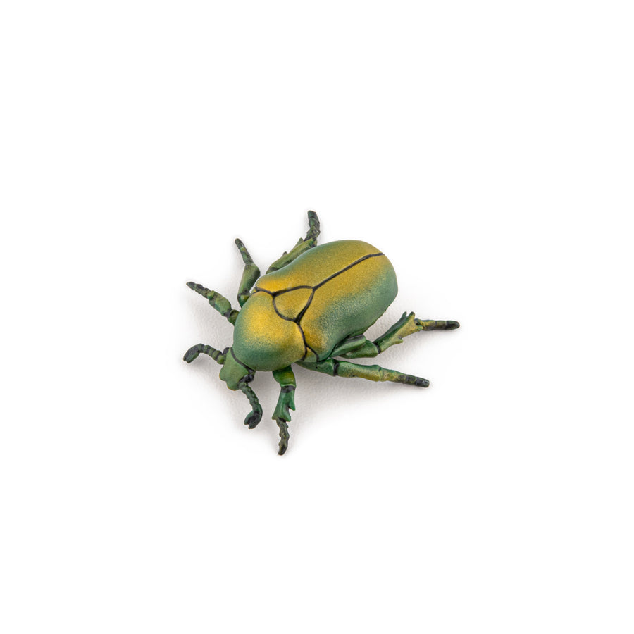 Beetle
