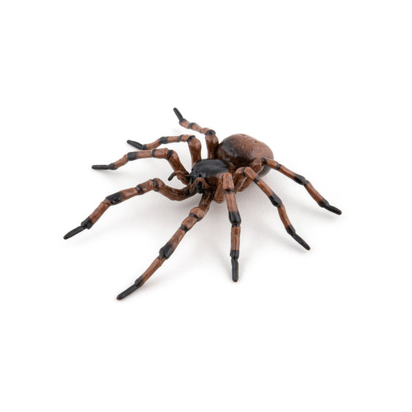 Figurine Araignée commune Papo - animal du jardin
