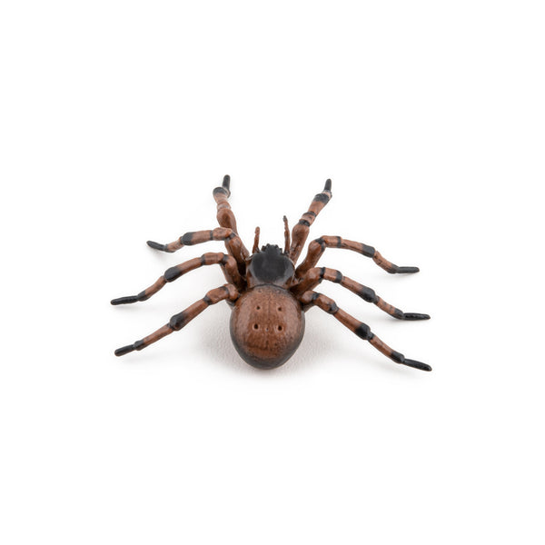 Figurine Araignée commune Papo - animal du jardin