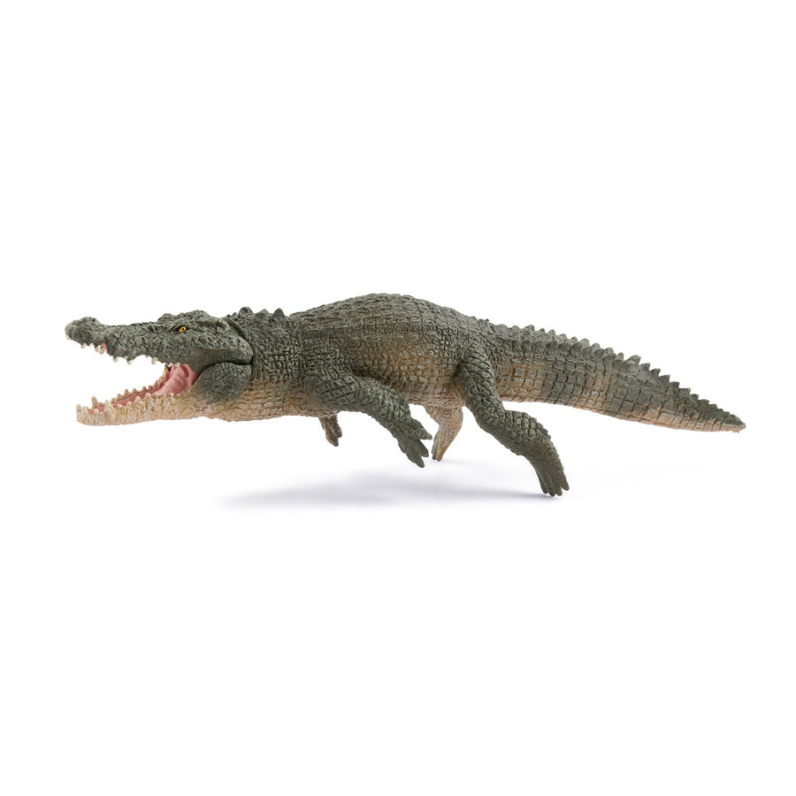 Crocodile marin