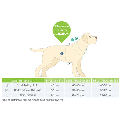 Manteau pour chien - Original Ducklings