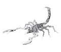 Scorpione