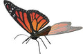 Papillon Monarque