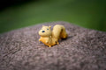 My First Garden Friends – Bruco