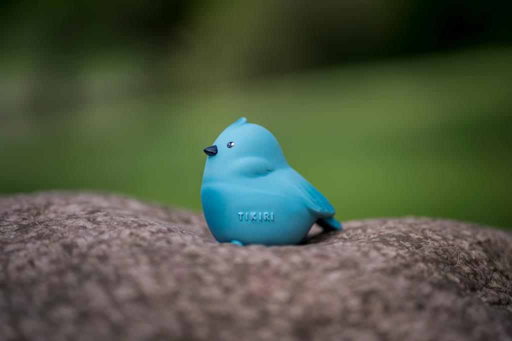Il mio primo uccello animale da giardino