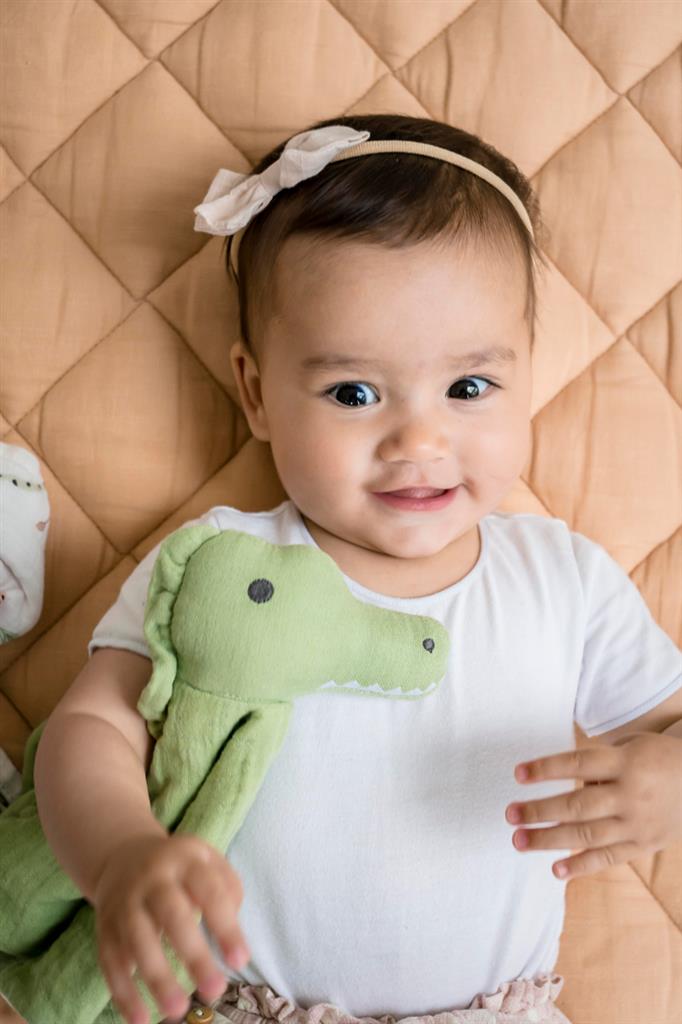 Crocodile Comforter with Teething Support