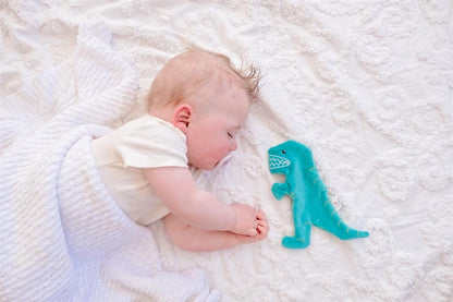 Jouet à Froisser Doudou Dinausore T-Rex