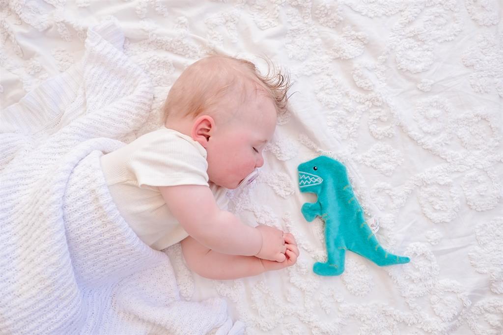 Peluche dinosauro T-Rex frusciante