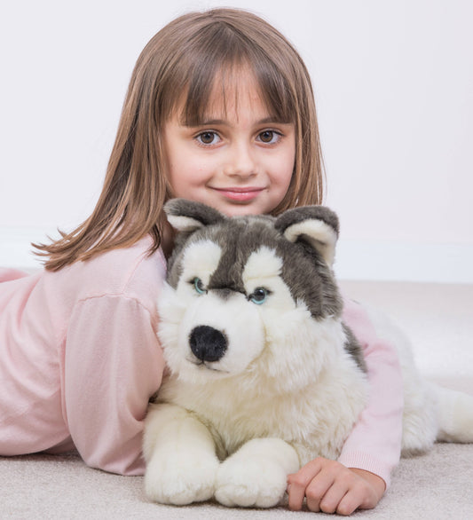 Grande Peluche Husky couché