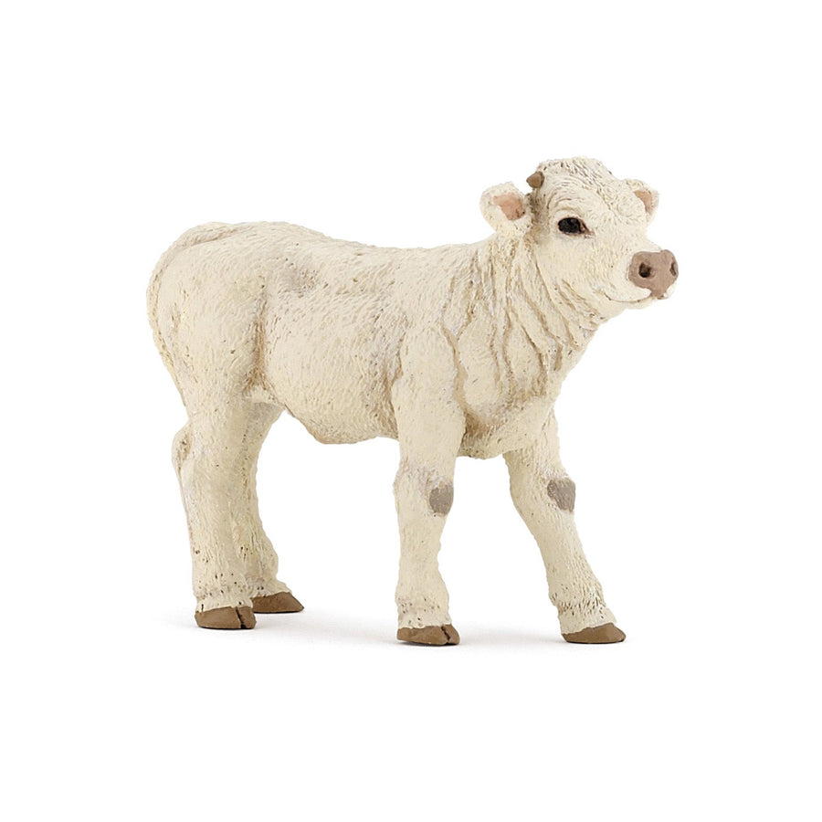 Veau