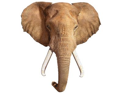 Elephant puzzle