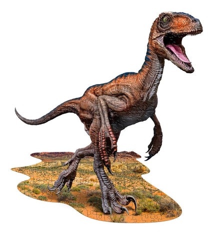 Puzzle Raptor
