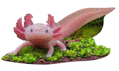 Axolotl Puzzle
