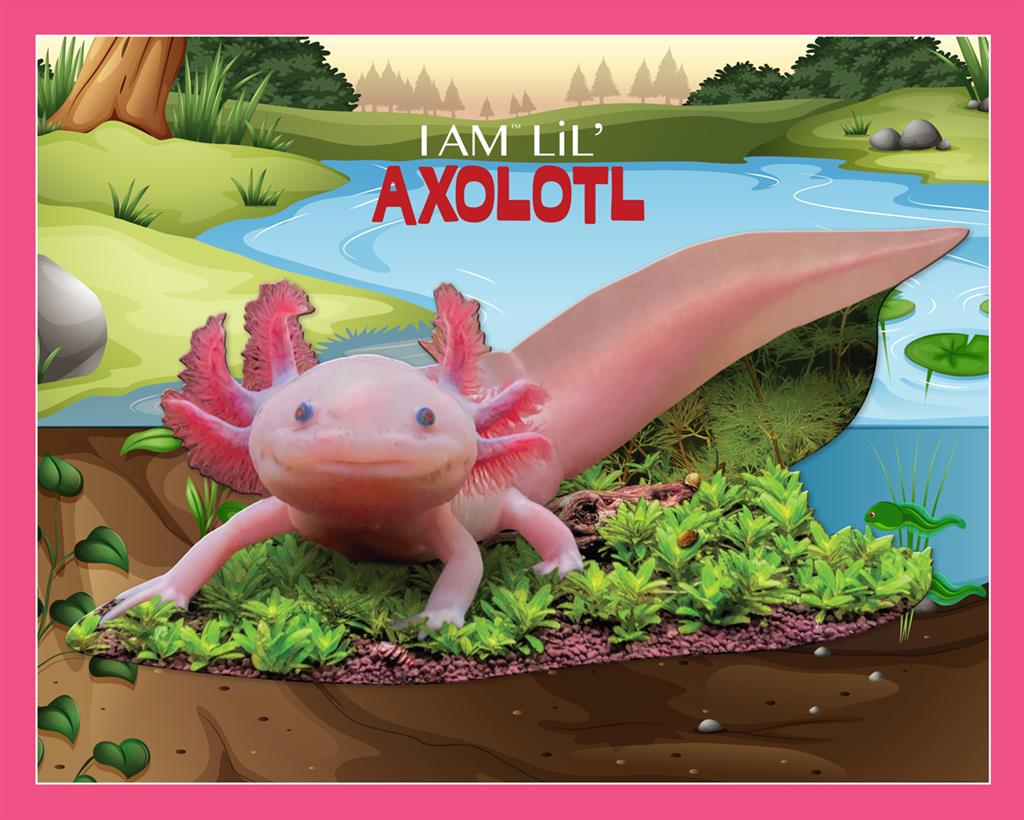 Axolotl Puzzle