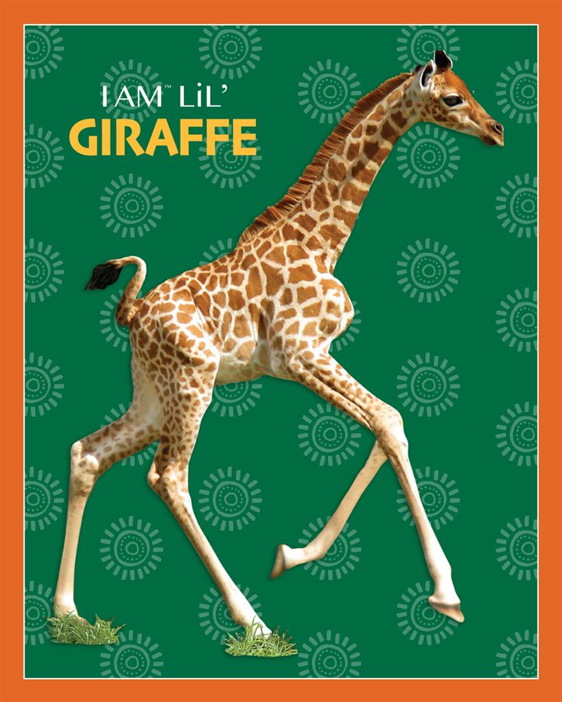 Giraffe Puzzle