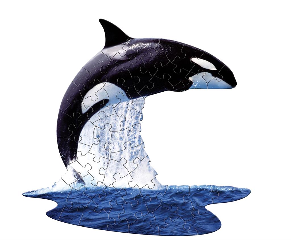 Puzzle dell'orca