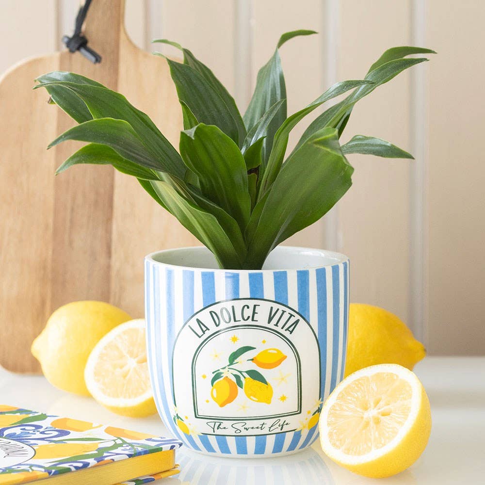 Pot “La Dolce Vita” Rayures Bleues