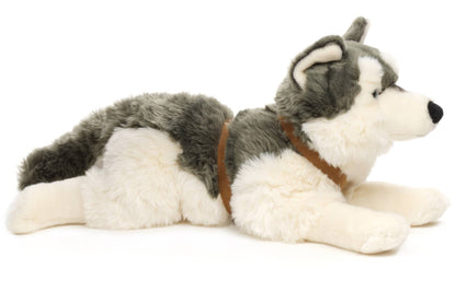 Husky plush toy, lying down (with harness)