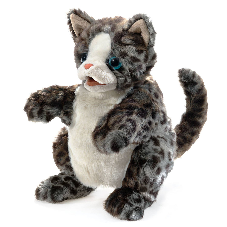 Chat sauvage