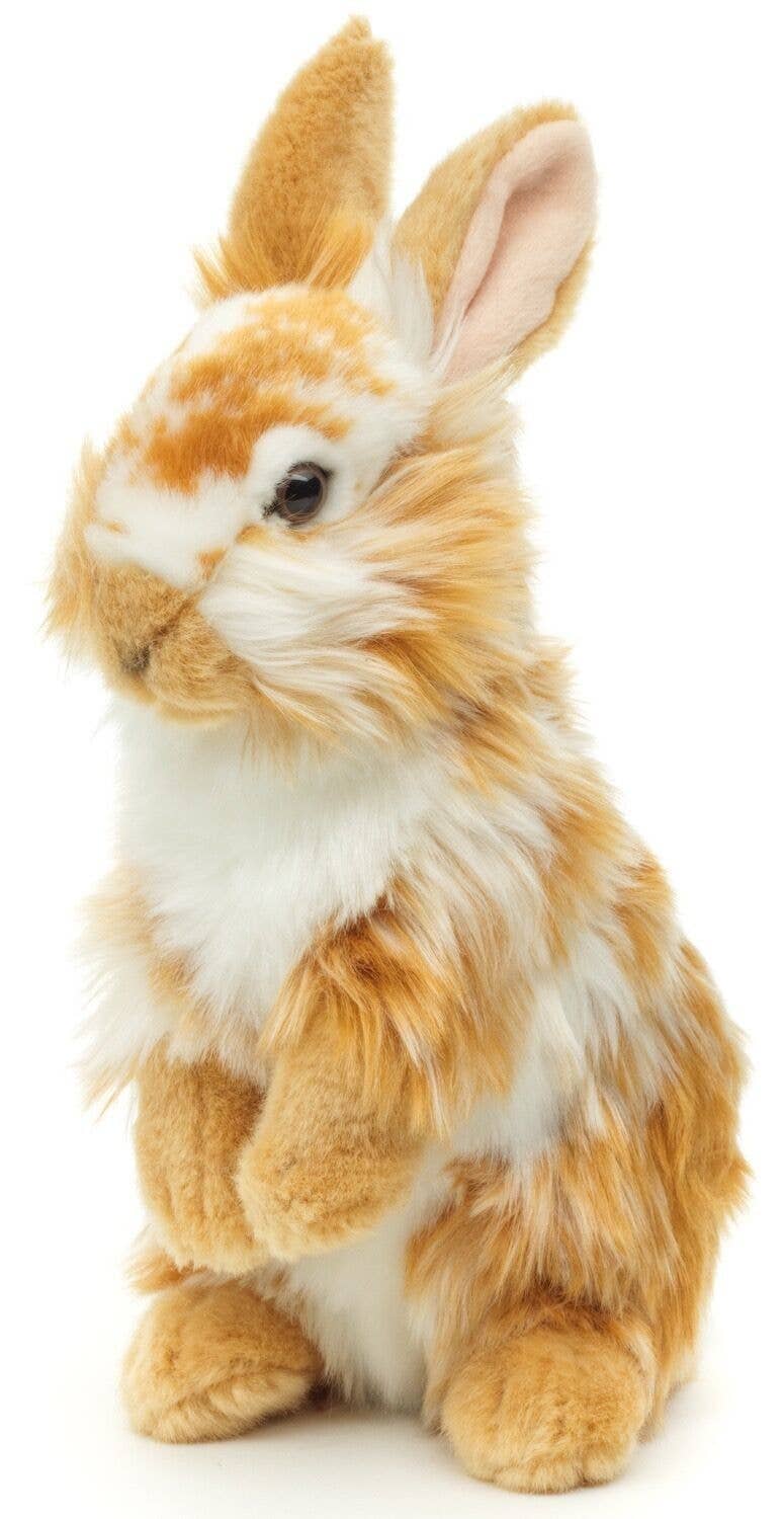 Peluche lapin lionhead lève-toi. doré