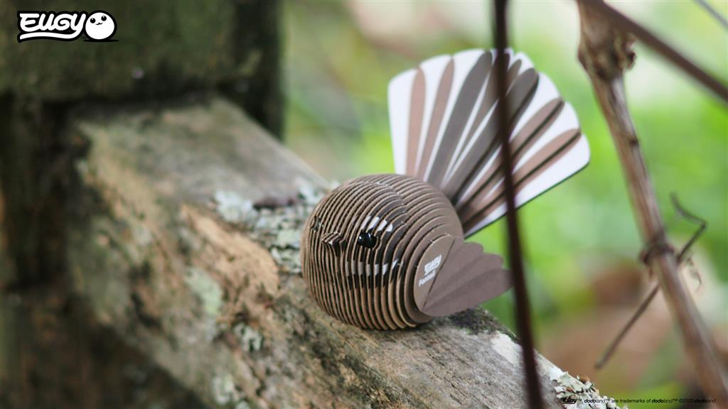 EUGY 3D - Rhipidure à collier