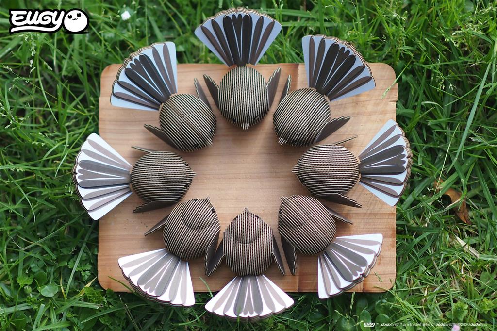 EUGY 3D - Rhipidure à collier