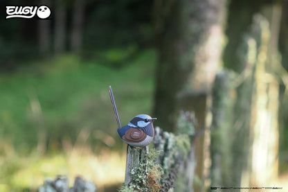 EUGY 3D - Superb Fairy Wren