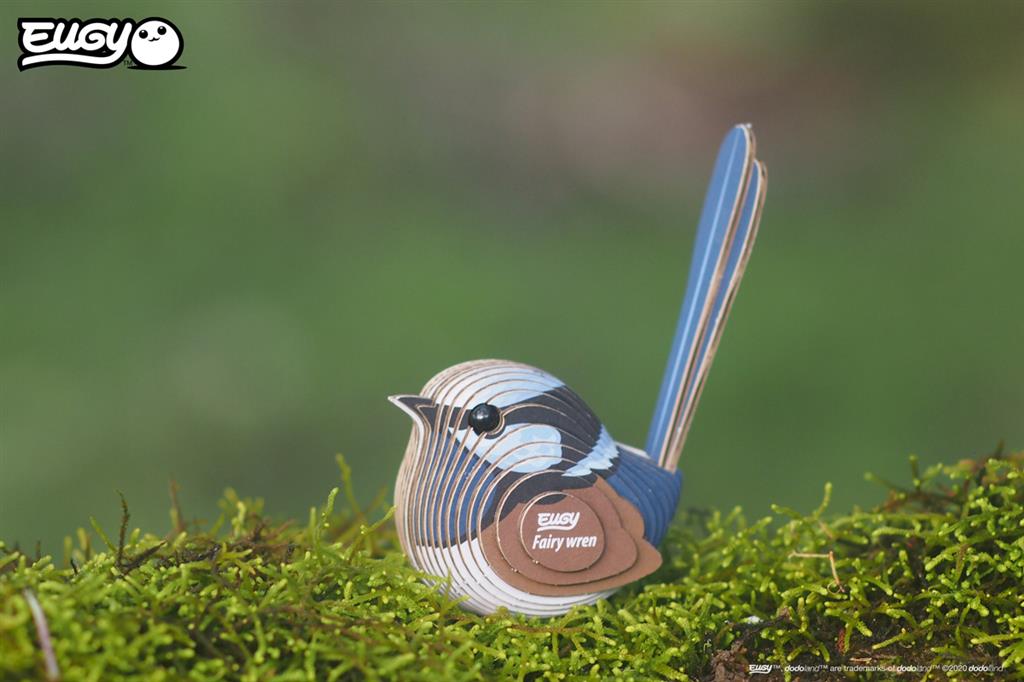 EUGY 3D - Superb Fairy Wren