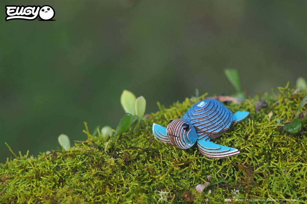 EUGY 3D - Tortue de mer