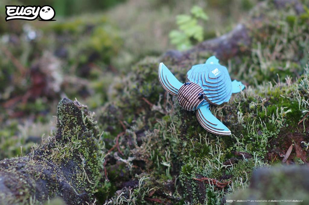 EUGY 3D - Tortue de mer