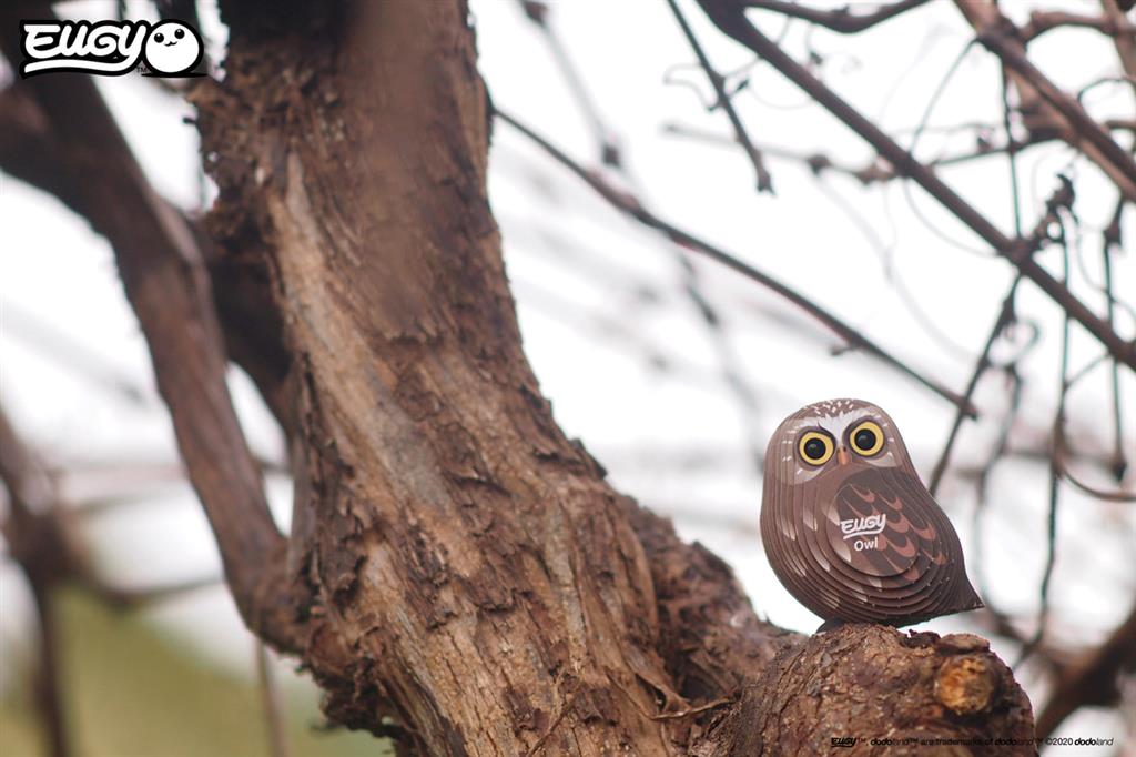 EUGY 3D - Owl