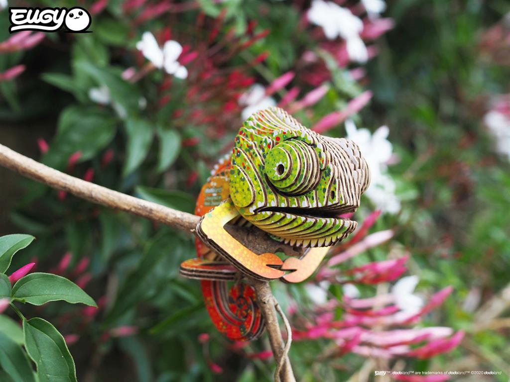 EUGY 3D - Chameleon