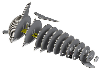 EUGY 3D - Dolphin