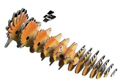 EUGY 3D - Huppe fasciée