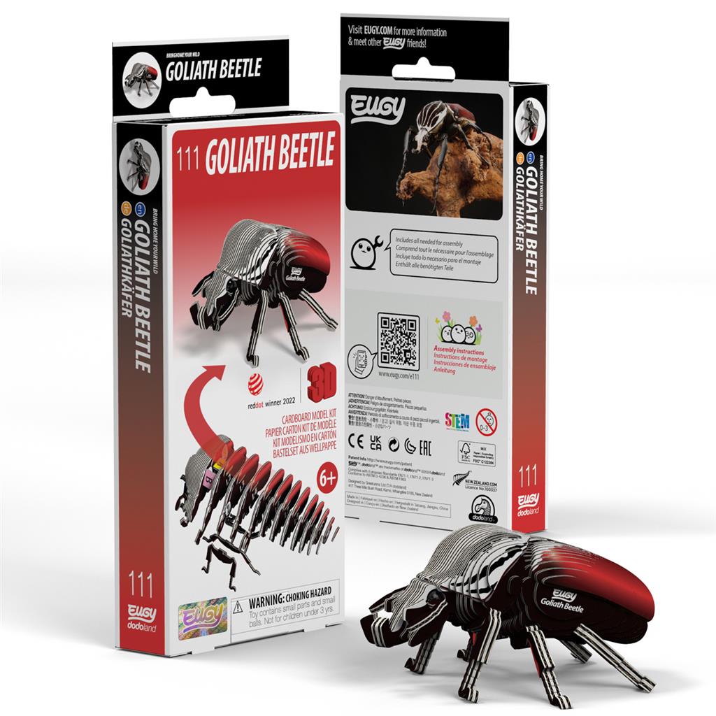 EUGY 3D - Coléoptère Goliath