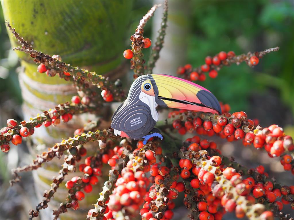 EUGY 3D - Toucan