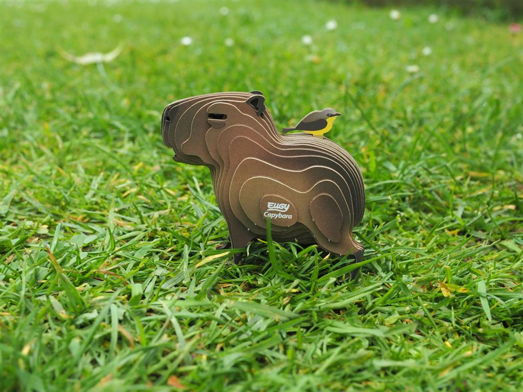 EUGY 3D - Capybara