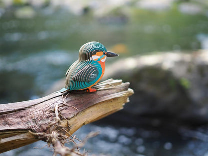 EUGY 3D - Martin-Pêcheur