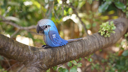 EUGY 3D - Ara de Spix